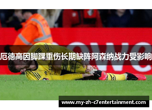 厄德高因脚踝重伤长期缺阵阿森纳战力受影响 厄德高因脚踝重伤长期缺阵阿森纳战力受影响